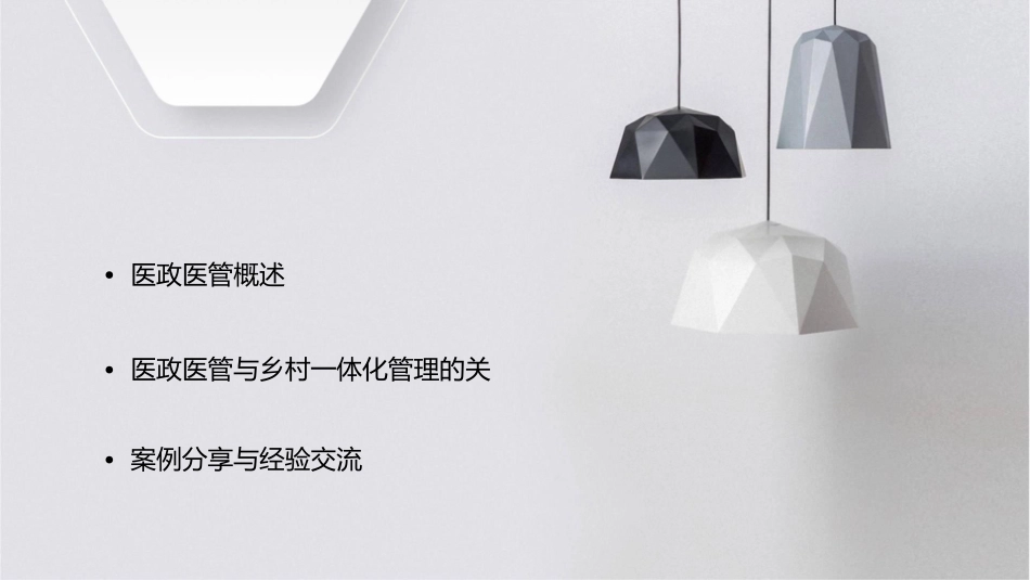 医政医管暨乡村一体化管理会议课件_第2页