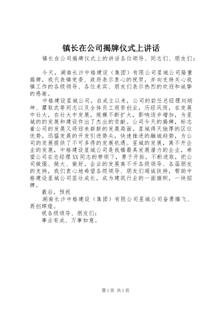 镇长在公司揭牌仪式上讲话发言