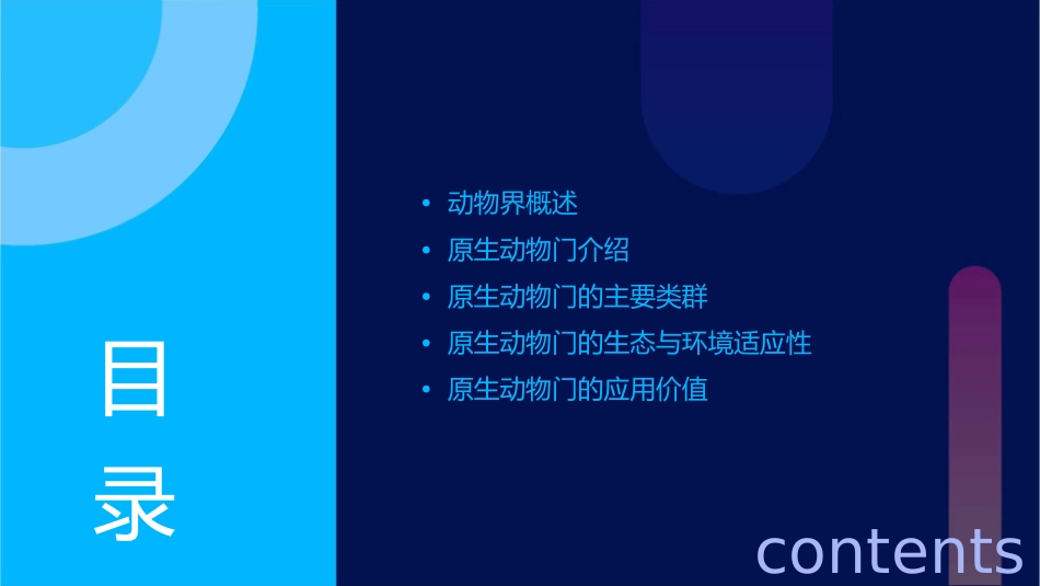 动物的类群及原生动物门课件_第2页
