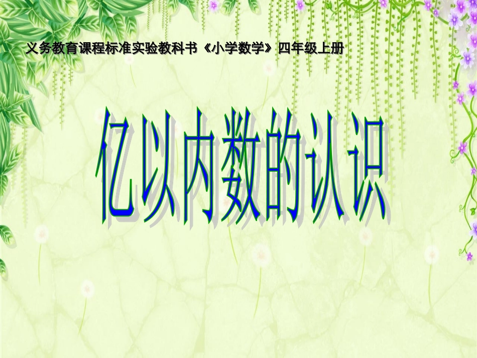 大数的认识 (2)_第1页