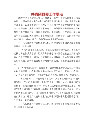 共青团县委工作要点 