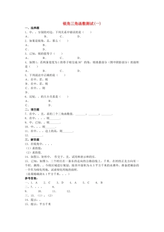 九级数学上册 211 锐角三角函数同步练习 北京课改版