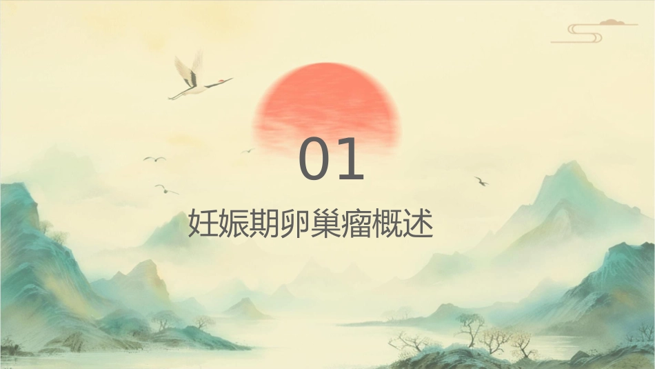 妊娠期卵巢肿瘤诊治护理课件_第3页