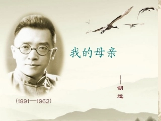 我的母亲胡适