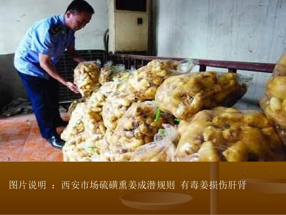 生物课外活动_第3页