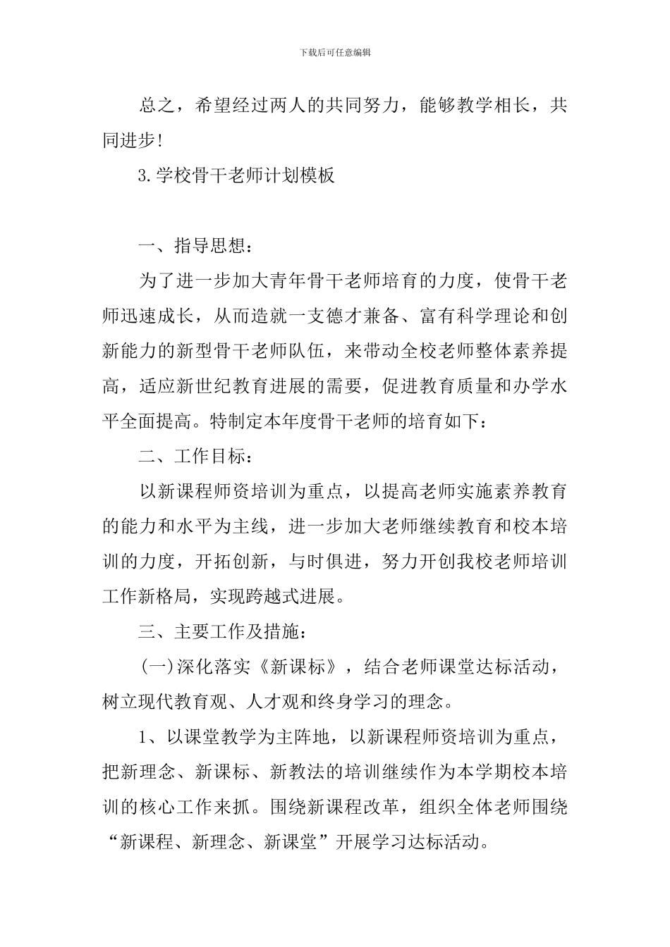 学校骨干教师计划模板_第3页