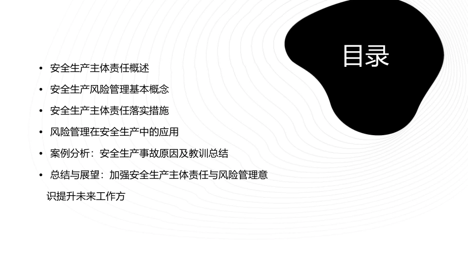 安全生产主体责任与风险管理培训课件_第2页