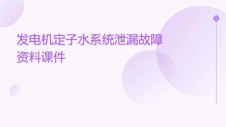 发电机定子水系统泄漏故障资料课件