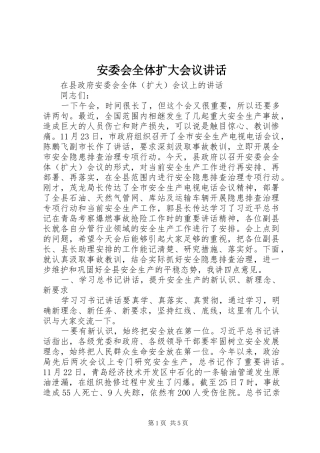 安委会全体扩大会议讲话发言