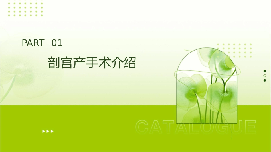 双胎剖宫产术后查房护理课件_第3页