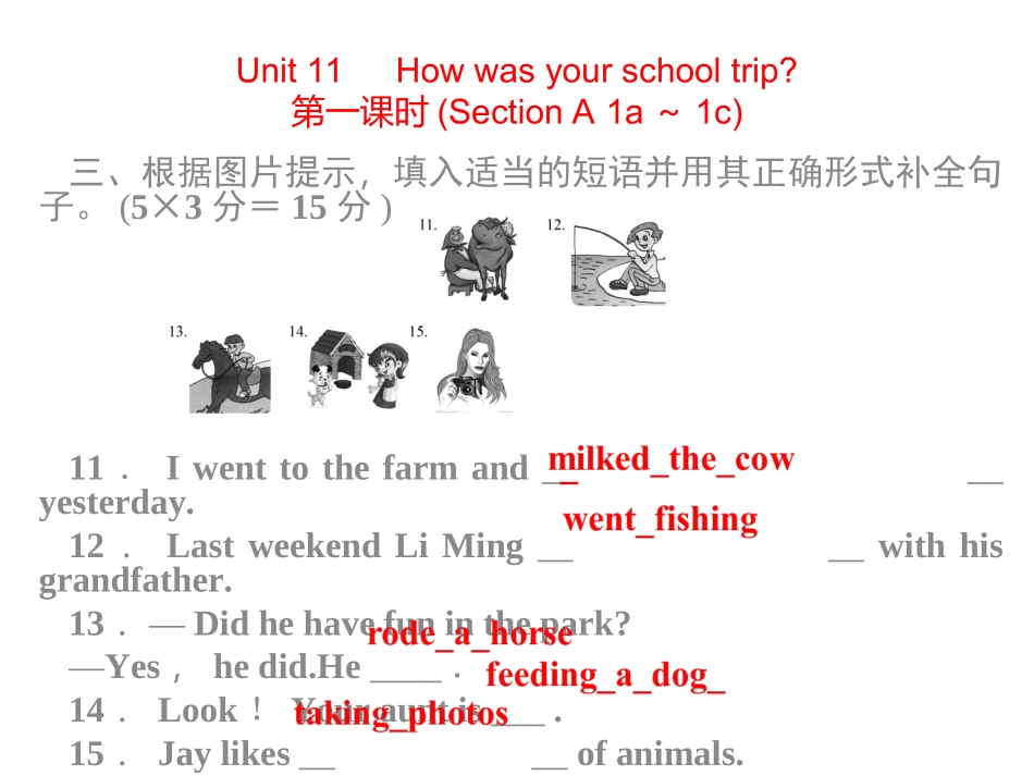 2015新人教版七年级英语下册Unit11同步习题精讲课件_第2页