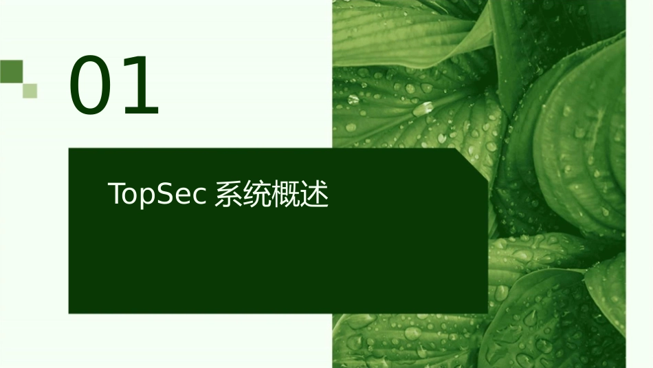 天融信防火墙TOPSEC系统管理课件_第3页
