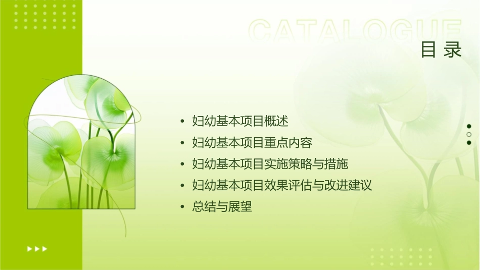 妇幼基本项目重点内容课件_第2页