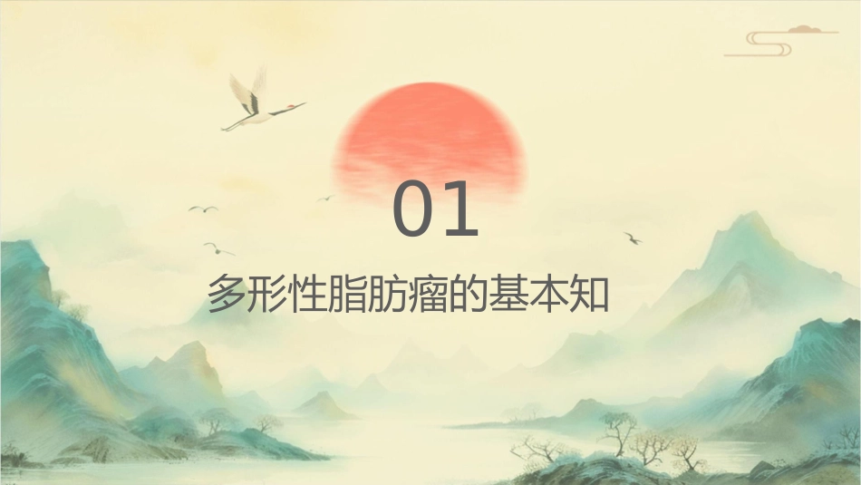 多形性脂肪瘤护理课件_第3页