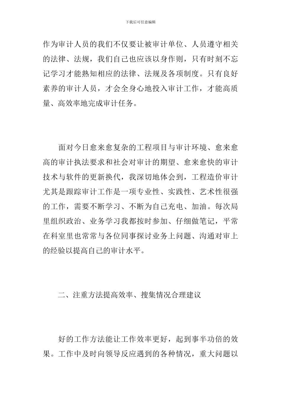 投资审计个人年度工作总结_第2页