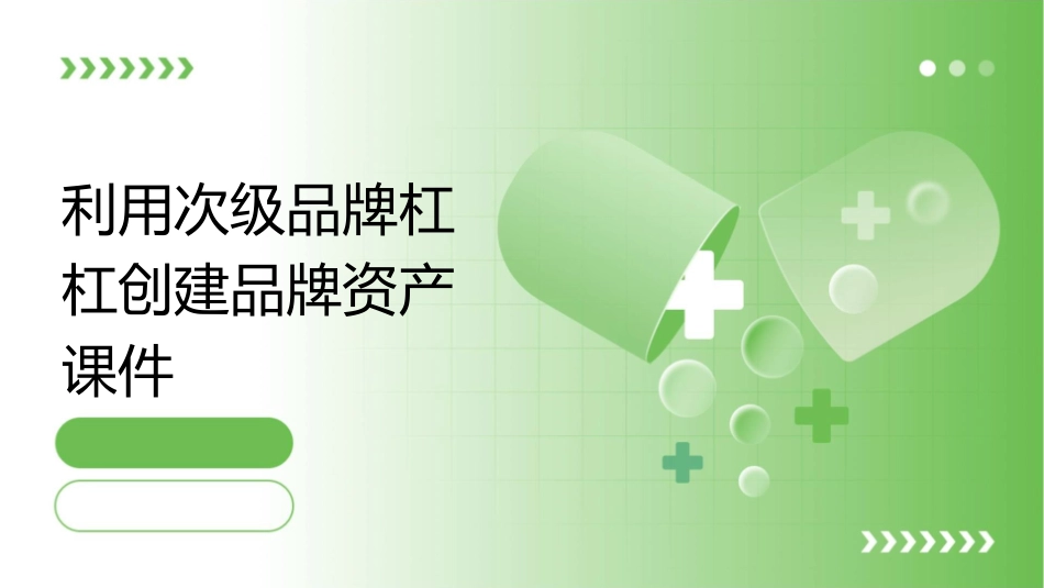 利用次级品牌杠杠创建品牌资产课件_第1页