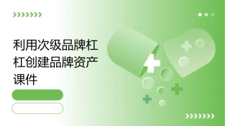 利用次级品牌杠杠创建品牌资产课件