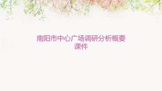 南阳市中心广场调研分析概要课件