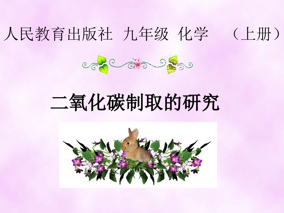 二氧化碳制取的研究课件62_第1页