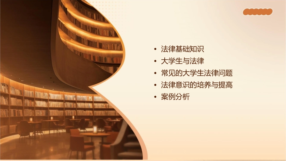 大学生知法懂法课件_第2页