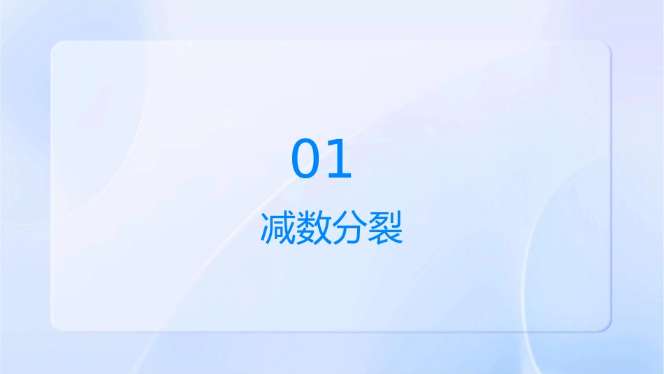 减数分裂和受精作用会考复习课件_第3页