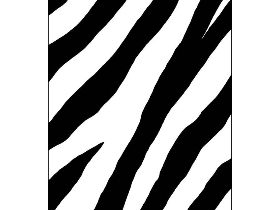 爱打嗝的斑马_第3页