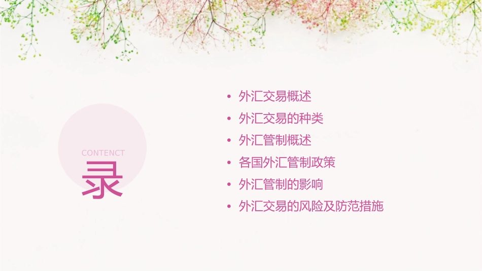 外汇交易和外汇管制课件_第2页