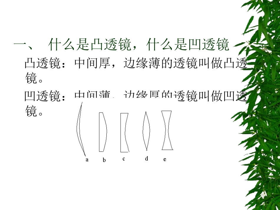 初中物理课件：透镜_第2页