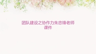 团队建设之协作力朱忠锋老师课件