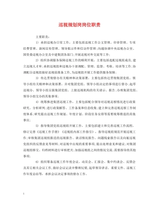 经典范文-巡视规划岗岗位职责 