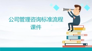 公司管理咨询标准流程课件