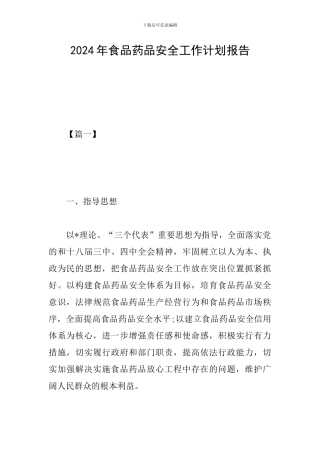 2024年食品药品安全工作计划报告