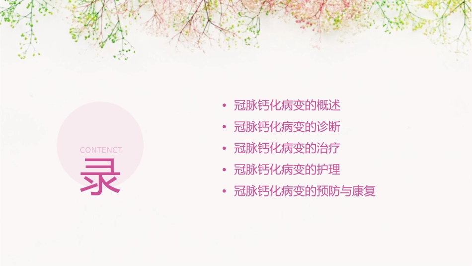 冠脉钙化病变诊治中国专家共识解读2022护理课件_第2页
