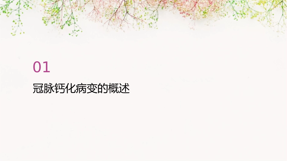 冠脉钙化病变诊治中国专家共识解读2022护理课件_第3页
