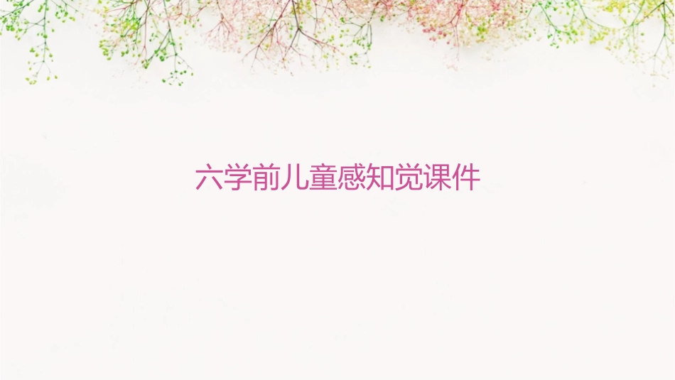 六学前儿童感知觉课件_第1页