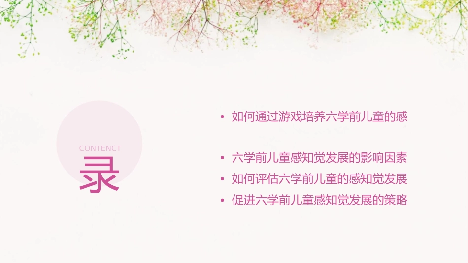 六学前儿童感知觉课件_第2页