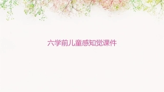 六学前儿童感知觉课件