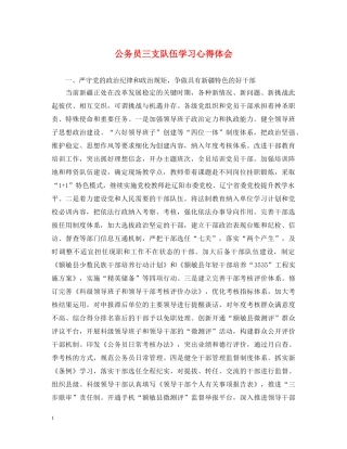 公务员三支队伍学习心得体会 