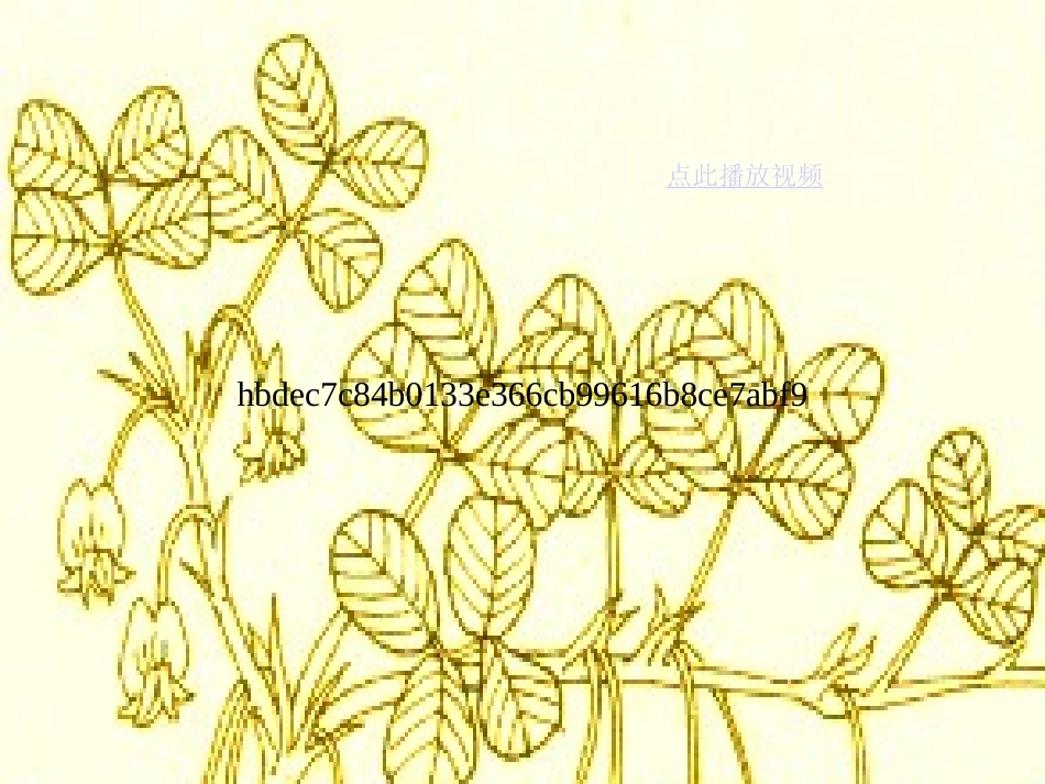 落花生 (2)_第1页