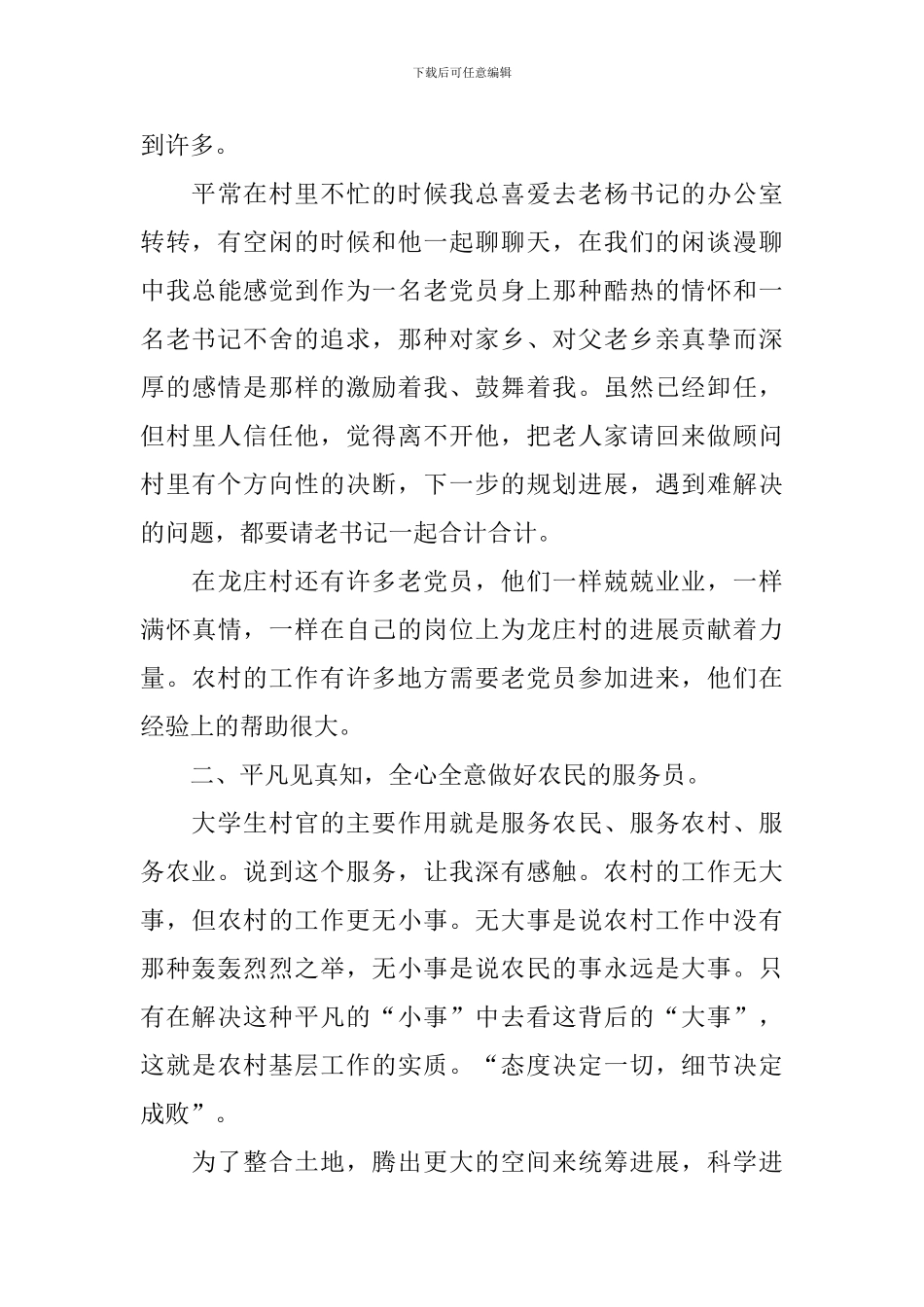 村主任2024年度工作计划_第3页