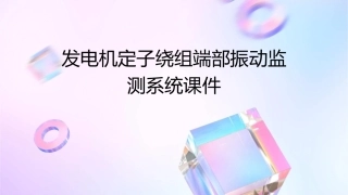 发电机定子绕组端部振动监测系统课件