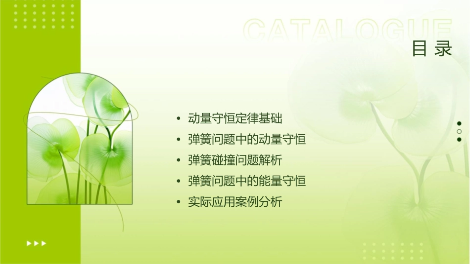 动量守恒定律的应用弹簧问题课件_第2页