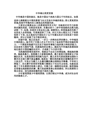 中华魂让我更坚强