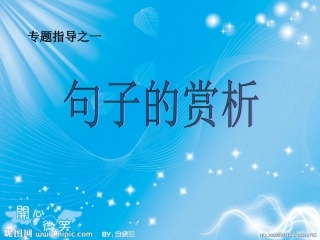 句子的赏析指导
