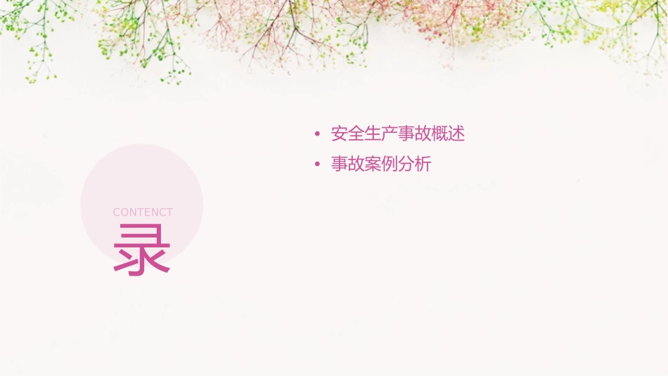 安全生产事故与案例分析课件_第2页