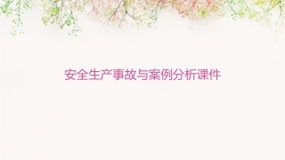 安全生产事故与案例分析课件
