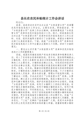 县长在农民补贴统计工作会讲话发言