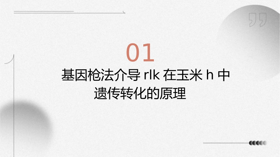 基因枪法介导RLK在玉米H中遗传转化毕业答辩护理课件_第3页