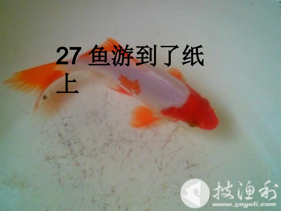 鱼游到了纸上 _第1页