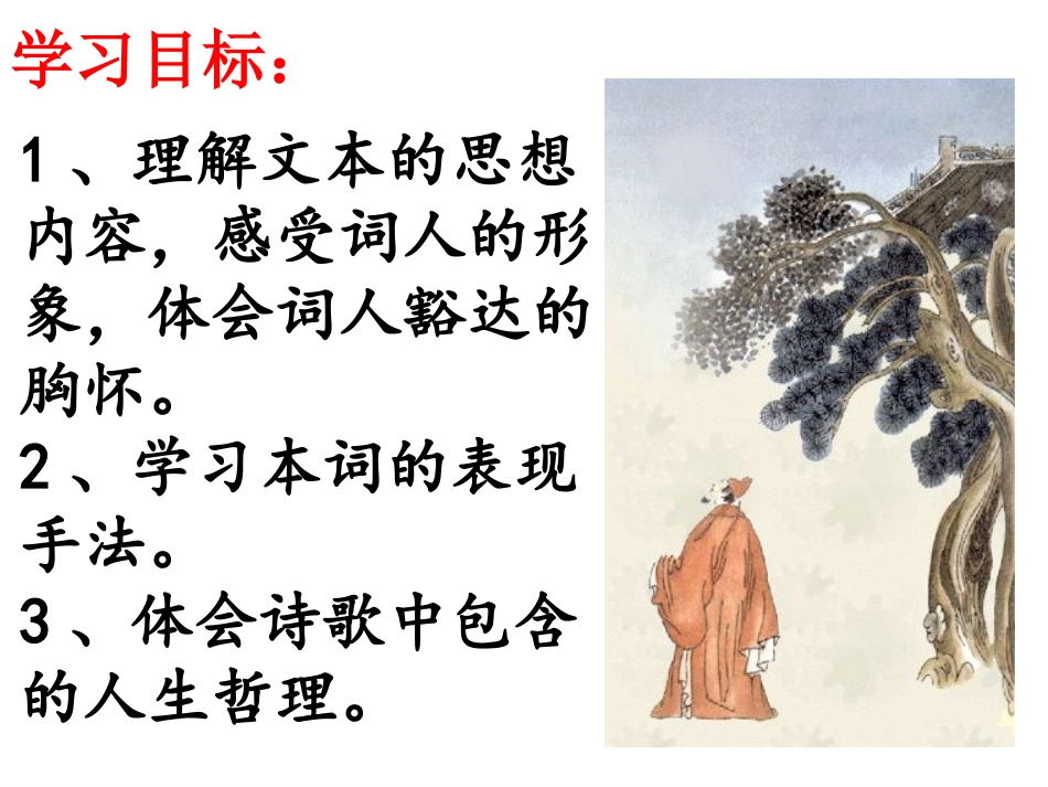 定风波.莫听穿林打叶声_第2页